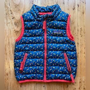 Patagonia Down Sweater Vest, 6-12 months